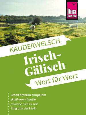 cover image of Reise Know-How Sprachführer Irisch-Gälisch--Wort für Wort